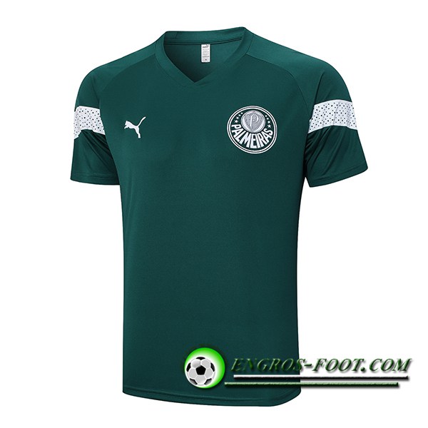 Training T-Shirts Palmeiras Vert 2023/2024 -03