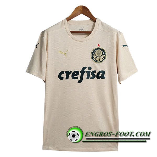 Maillot de Foot Palmeiras Retro Exterieur 2021/2022