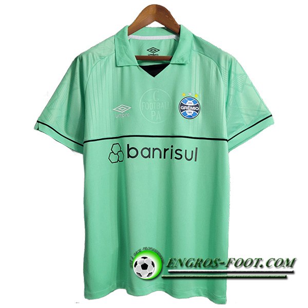 Maillot de Foot Gremio Gardien de But Vert 2023/2024