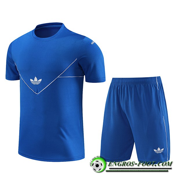 Ensemble Training T-Shirts + Shorts Adidas Bleu 2023/2024