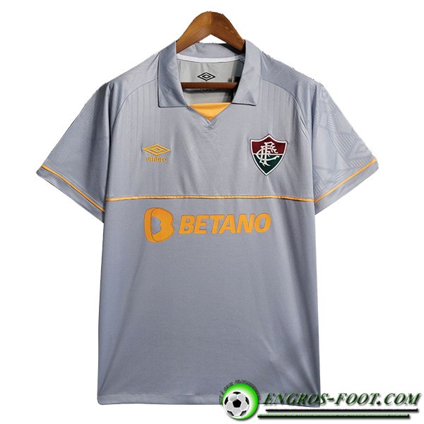 Training T-Shirts Fluminense Gris 2023/2024
