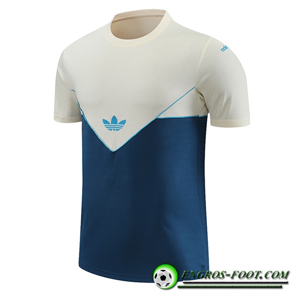 Training T-Shirts Adidas Blanc/Bleu 2023/2024