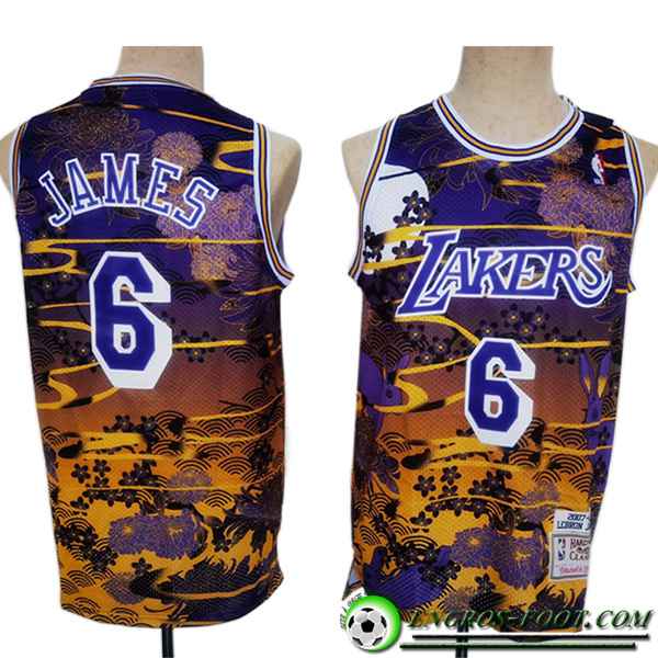 Maillot Los Angeles Lakers (JAMES #6) 2023/24 Pourpre/Jaune -02