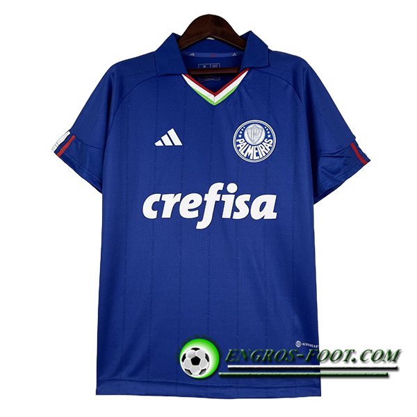 Maillot de Foot Palmeiras Special Edition 2023/2024