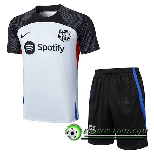 Ensemble Training T-Shirts + Shorts FC Barcelone Gris 2023/2024 -02