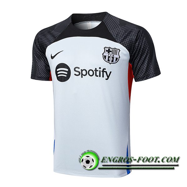 Training T-Shirts FC Barcelone Gris 2023/2024 -02