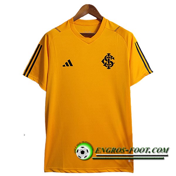 Training T-Shirts Internacional Orange 2023/2024