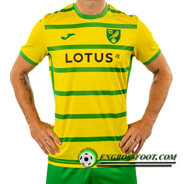 Maillot de Foot Norwich City Domicile 2023/2024