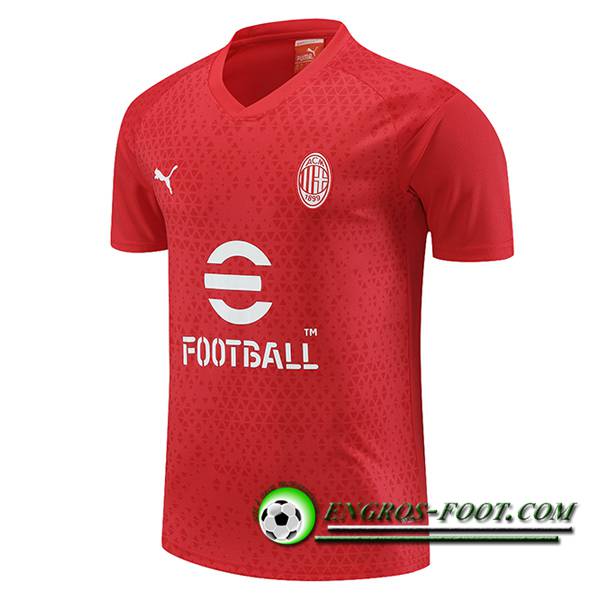 Training T-Shirts Milan AC Rouge 2023/2024