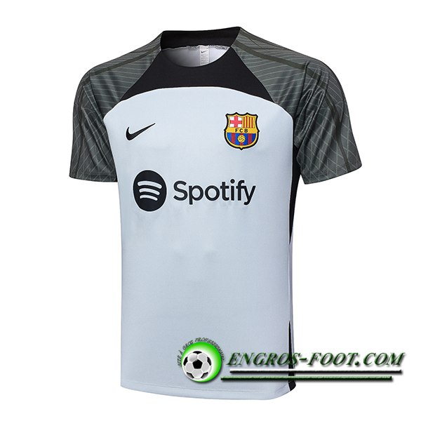 Training T-Shirts FC Barcelone Gris Clair 2023/2024