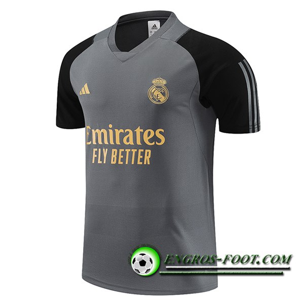 Training T-Shirts Real Madrid Gris 2023/2024