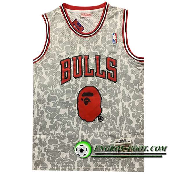 Maillot Chicago Bulls (BAPE #93) 2023/24 Gris/Rouge