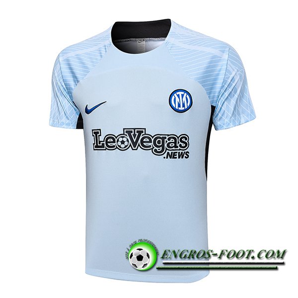 Training T-Shirts Inter Milan Gris 2023/2024