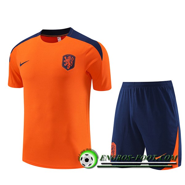 Ensemble Training T-Shirts + Shorts Pays-Bas Orange 2023/2024