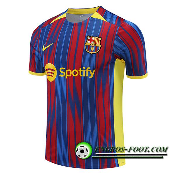 Training T-Shirts FC Barcelone Rouge/Bleu 2023/2024