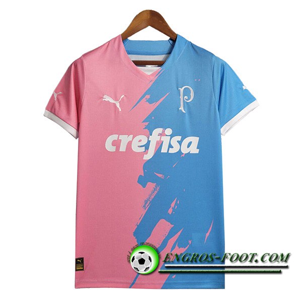 Training T-Shirts Palmeiras Bleu/Rose 2023/2024