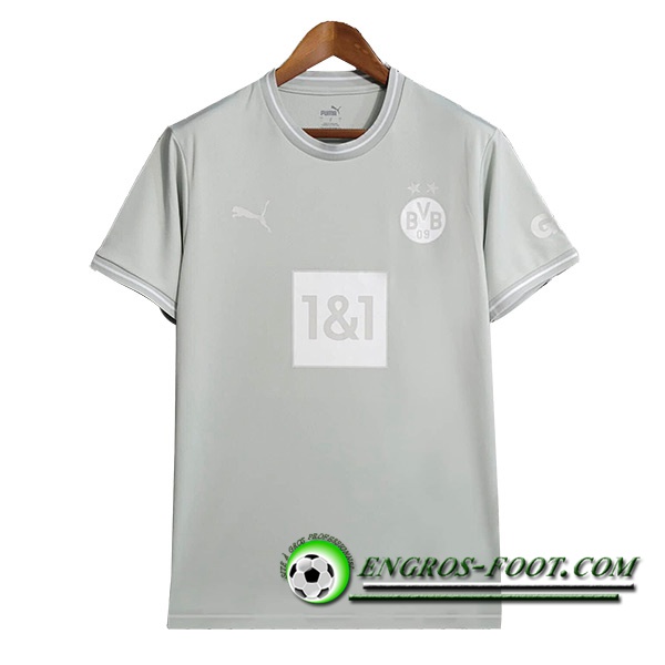 Training T-Shirts Dortmund Gris 2023/2024