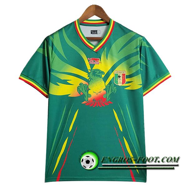 Maillot Equipe Foot Mali Domicile 2023/2024