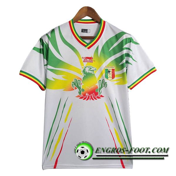 Maillot Equipe Foot Mali Exterieur 2023/2024