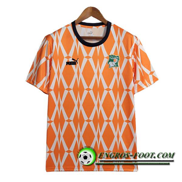 Training T-Shirts Ivory Coast Orange 2023/2024