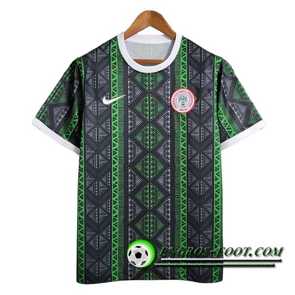 Training T-Shirts Nigeria Vert 2023/2024