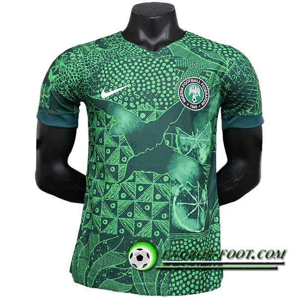 Maillot Equipe Foot Nigeria Special Edition Vert 2023/2024