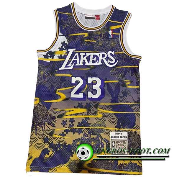 Maillot Los Angeles Lakers (JAMES #23) 2023/24 Pourpre/Jaune