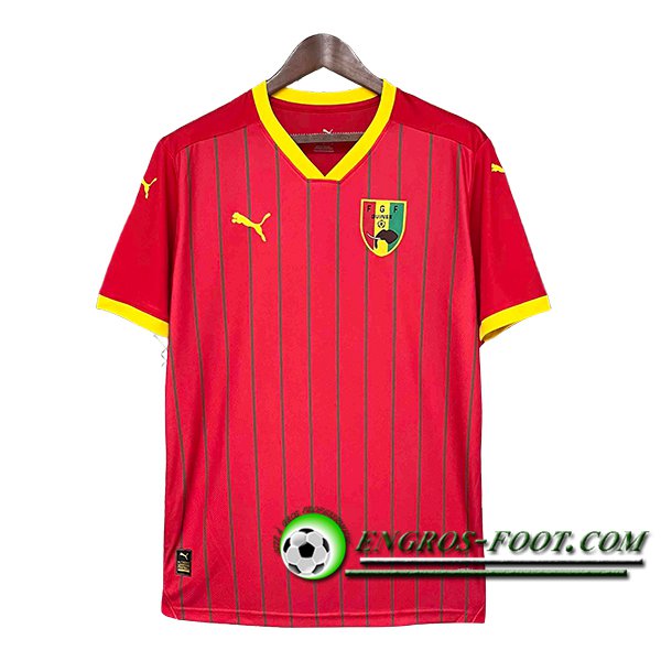 Maillot Equipe Foot Guinee Domicile 2024/2025