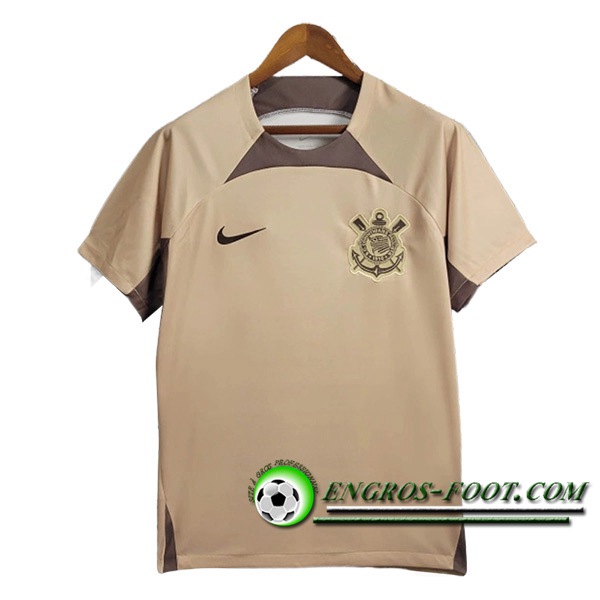 Training T-Shirts Corinthians Brun 2024/2025