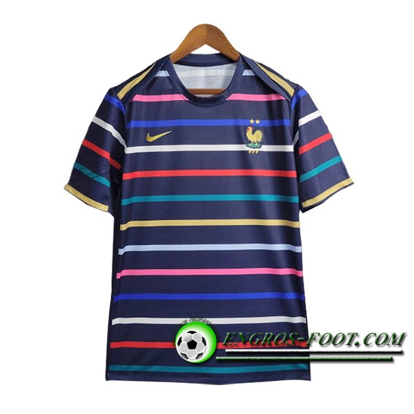 Training T-Shirts France Pourpre 2024/2025