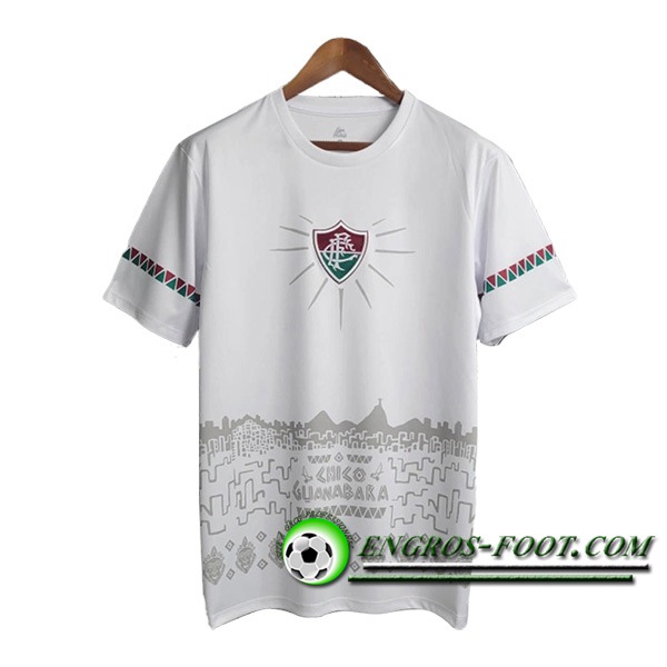 Training T-Shirts Fluminense Blanc/Gris 2024/2025