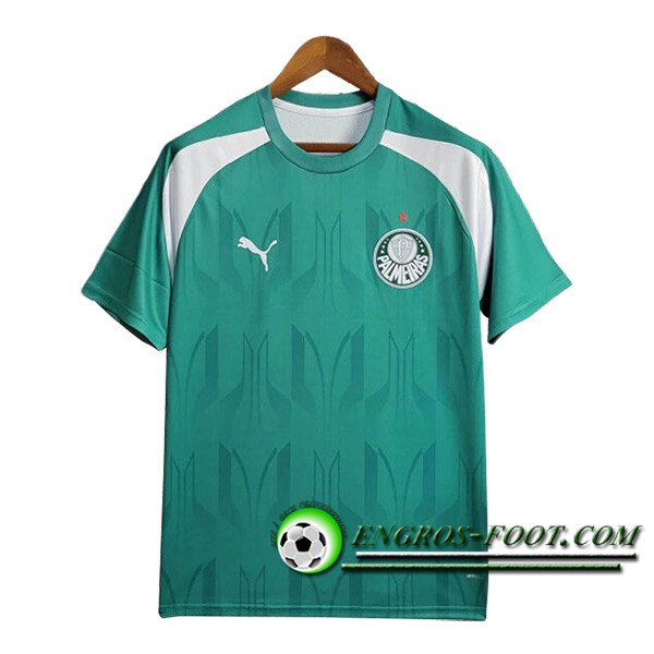 Training T-Shirts Palmeiras Vert/Blanc 2024/2025