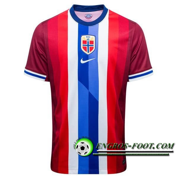 Maillot Equipe Foot Norvege Domicile 2024/2025