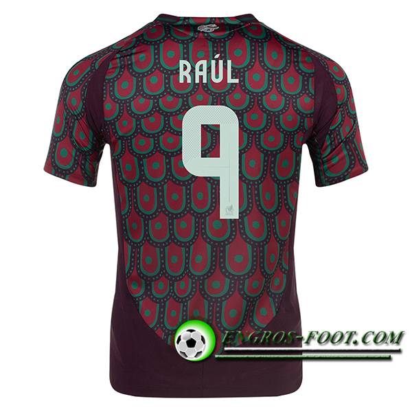 Maillot Equipe Foot Mexique (RAUL #9) 2024/2025 Domicile