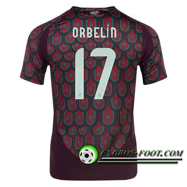 Maillot Equipe Foot Mexique (ORBELIN #17) 2024/2025 Domicile