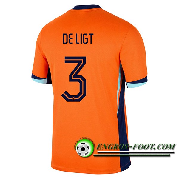 Maillot de Foot Pays-Bas (DE LIGT #3) UEFA Euro 2024 Domicile