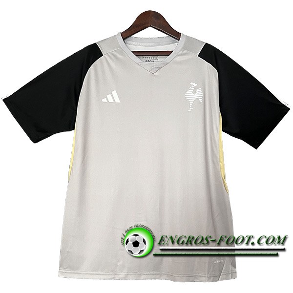 Training T-Shirts Atletico Mineiro Gris/Noir 2024/2025