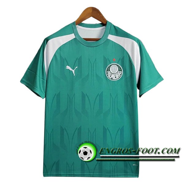 Training T-Shirts Palmeiras Vert/Blanc 2024/2025