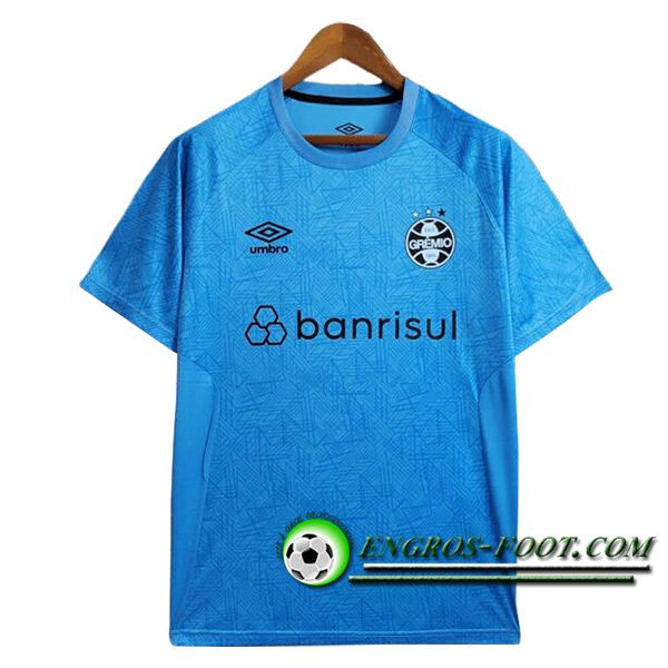 Training T-Shirts Gremio Bleu 2024/2025