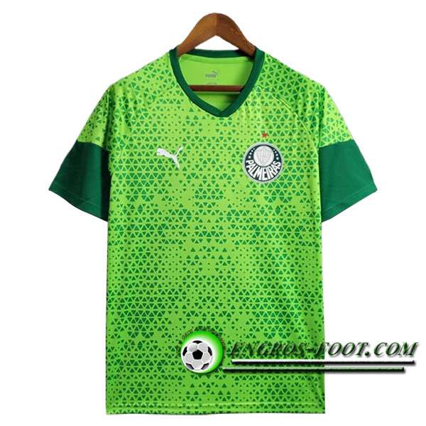 Training T-Shirts Palmeiras Vert 2024/2025