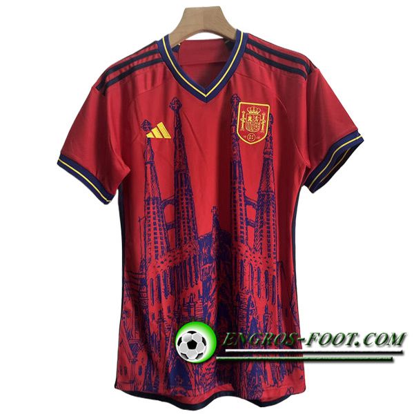 Maillot Equipe Foot Espagne Special Edition 2024/2025