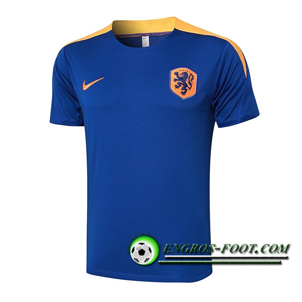 Training T-Shirts Pays-Bas Bleu/Jaune 2024/2025