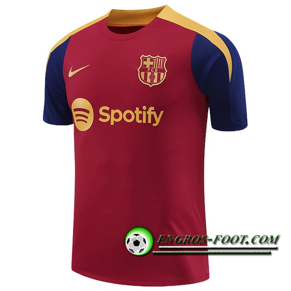 Training T-Shirts FC Barcelone Rouge/Jaune/Bleu 2024/2025