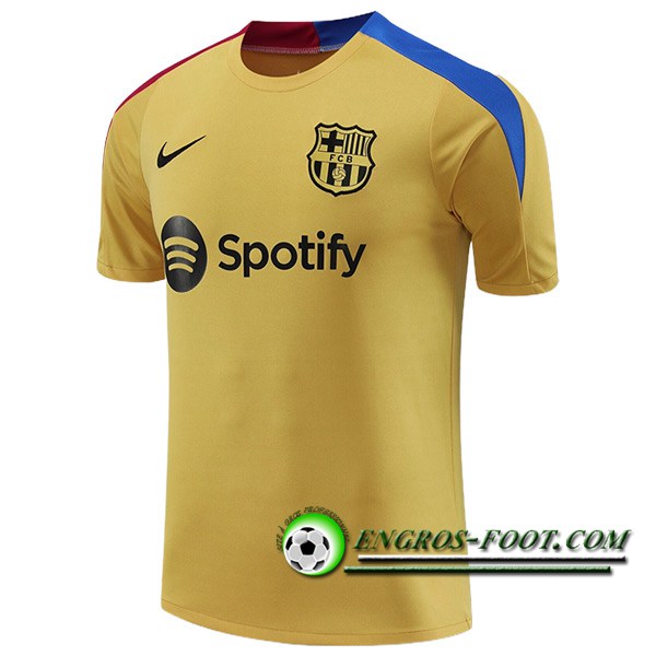 Training T-Shirts FC Barcelone Jaune/Bleu/Rouge 2024/2025