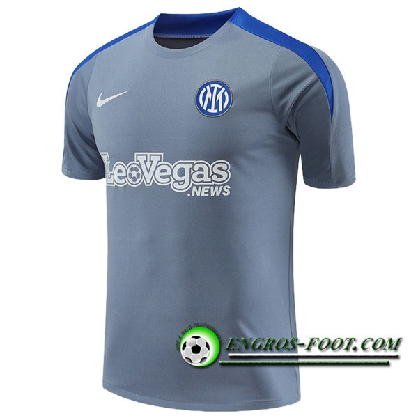 Training T-Shirts Inter Milan Gris/Bleu 2024/2025
