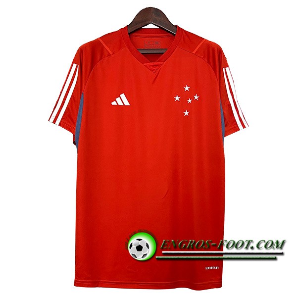Training T-Shirts Cruzeiro Rouge/Blanc 2024/2025