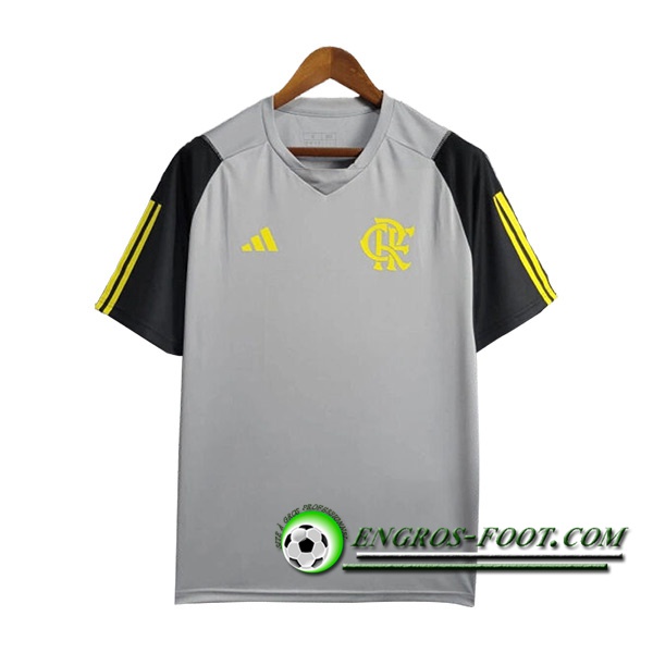 Training T-Shirts Flamengo Gris/Jaune 2024/2025