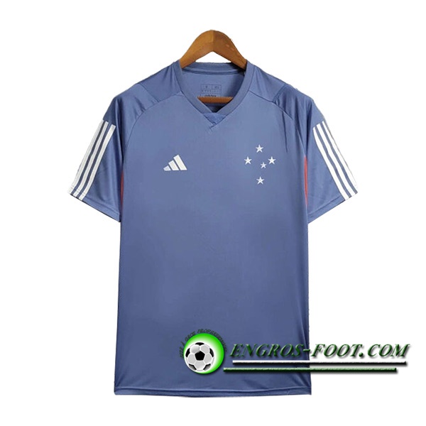 Training T-Shirts Cruzeiro Bleu/Rouge 2024/2025