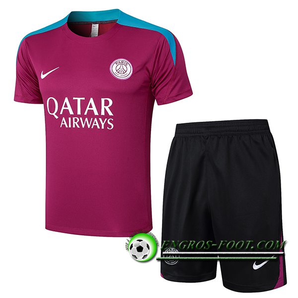 Training T-Shirts PSG Pourpre/Bleu 2024/2025