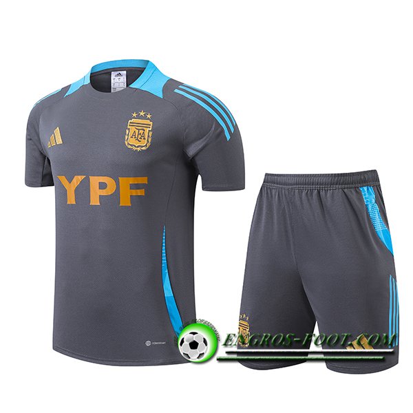 Training T-Shirts Argentin Gris/Bleu 2024/2025